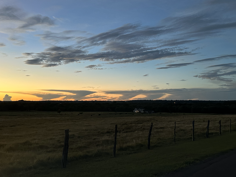 neighborhood-sunset-field