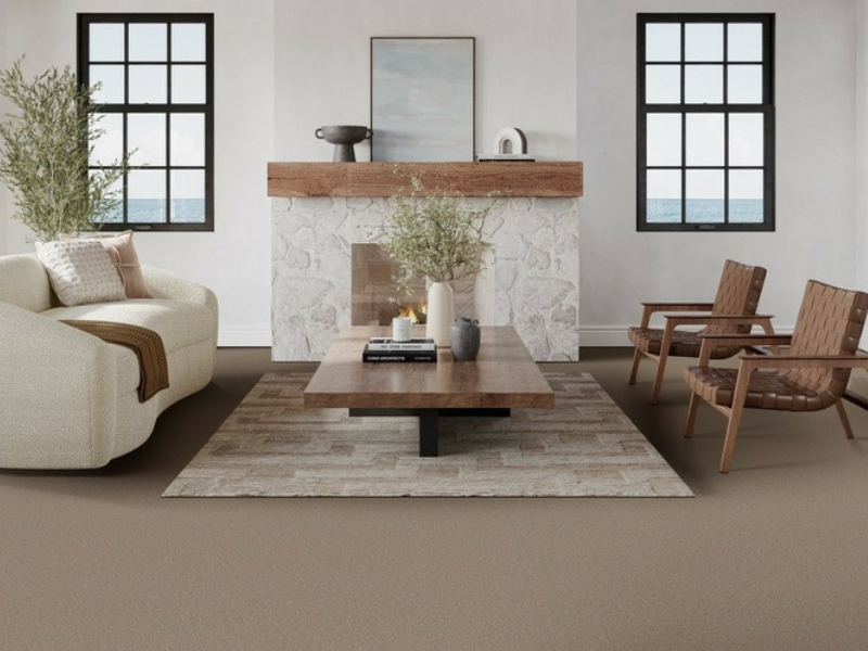 taupe carpet in a modern living room